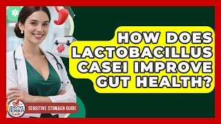 How Does Lactobacillus Casei Improve Gut Health? - Sensitive Stomach Guide