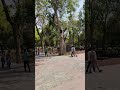 Inside Red fort#viral #youtubeshorts