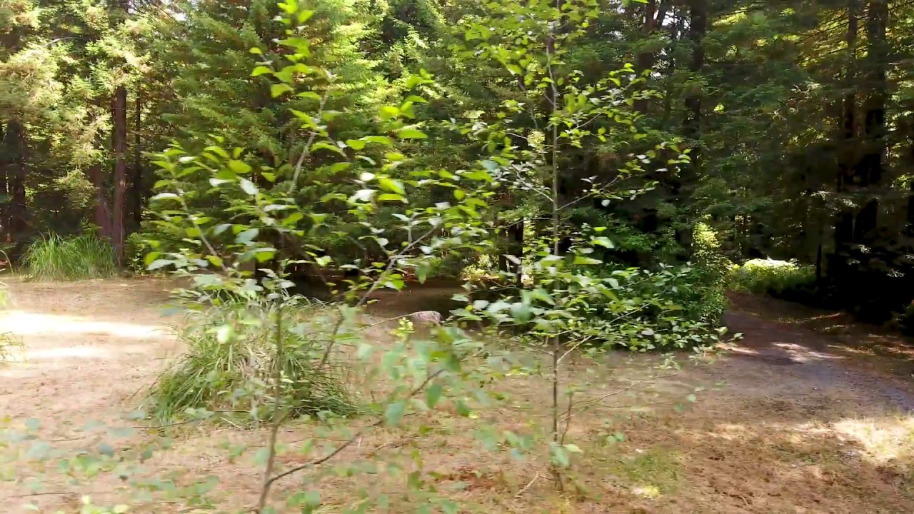 200 Frosty Lane YouTube