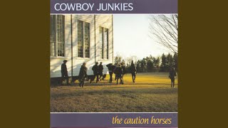Video thumbnail of "Cowboy Junkies - Rock And Bird"