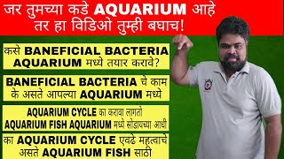 का Aquarium Cycling हे एवढे महत्वाचे आहे तुमच्या Aquarium Fish साठी | Aquarium ला Cycle का करावे?