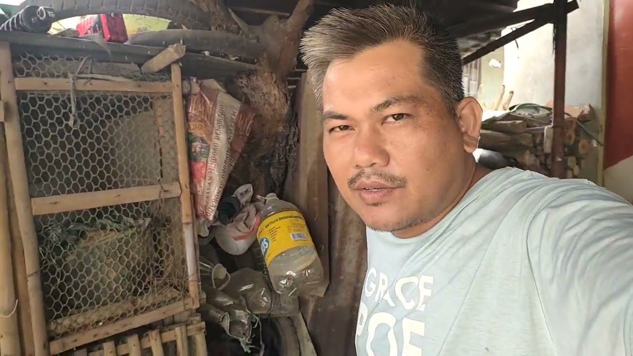 NAMISA NA PO ANG BATO BATO 