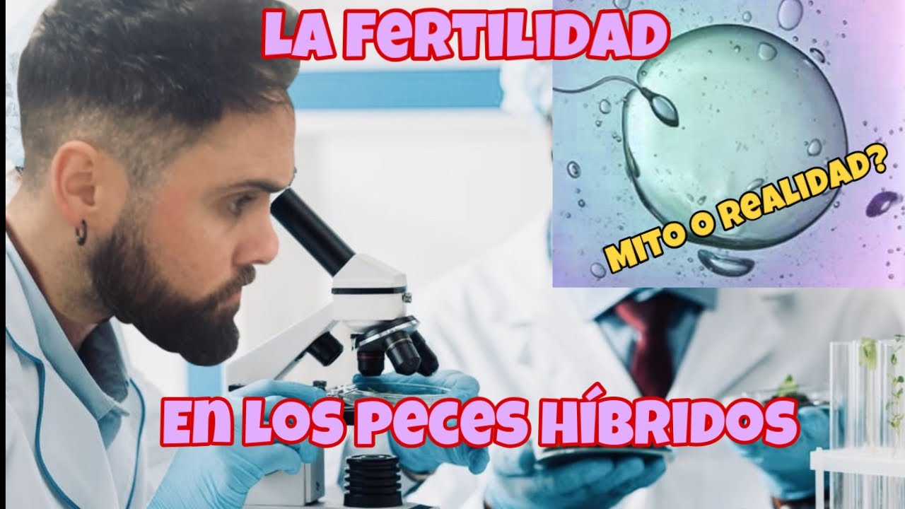 INFERTILIDAD en peces HIBRIDOS? ESTERILIZADOS? uso de HORMONAS? realidad o mito?