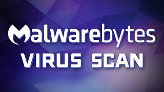 Malwarebytes Basics - How to Scan for Viruses & Other Malware screenshot 5