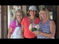 She Shed Living Intro She Shed Living Intro