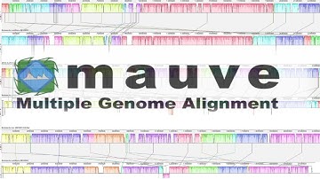 Using MAUVE for multiple genome alignments.
