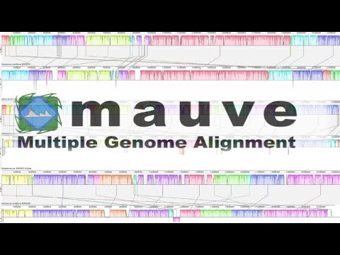 Using MAUVE for multiple genome alignments.