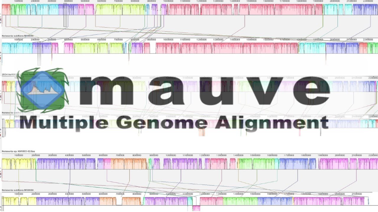 Using MAUVE for multiple genome alignments. YouTube