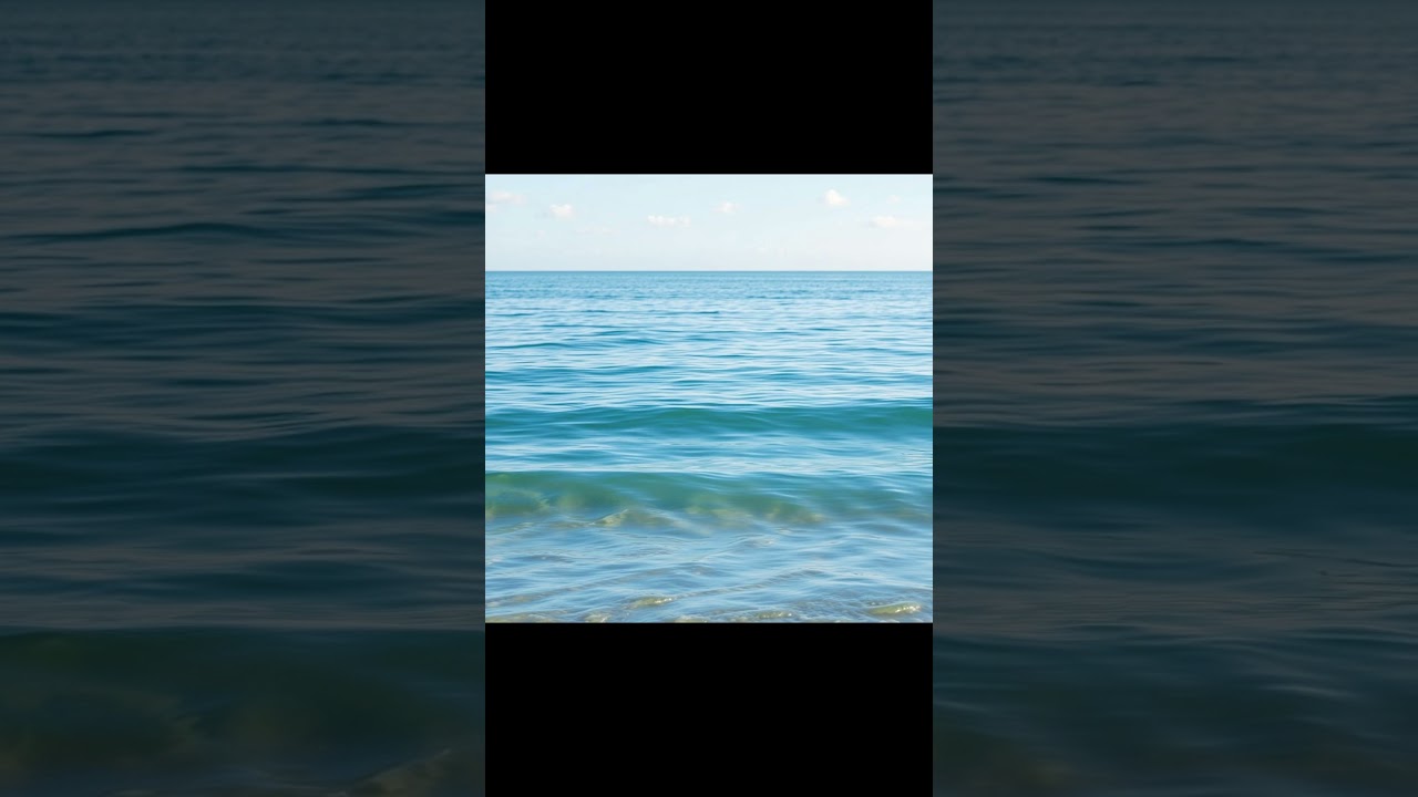 YouTube player
