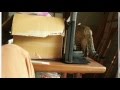 【保護猫39日目】障害物だらけは子猫の天国