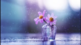 Make it rain - Shooting still life with rain