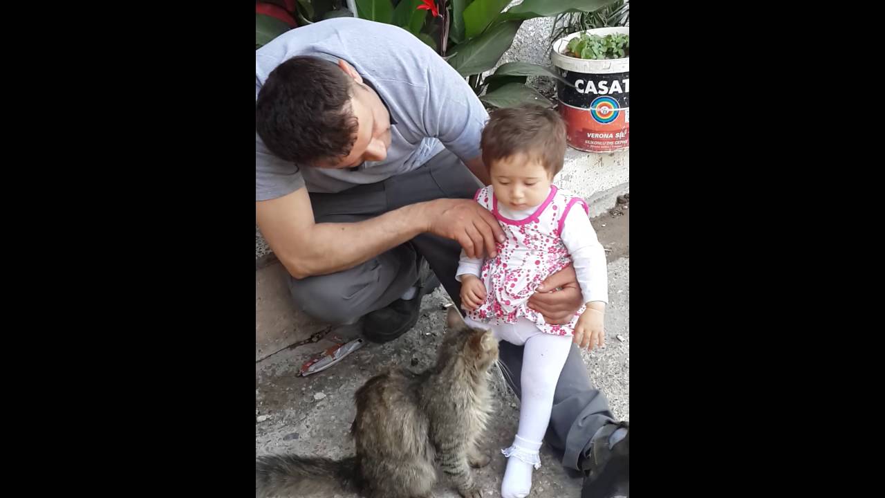 Ahsenin kedi sevgisi YouTube