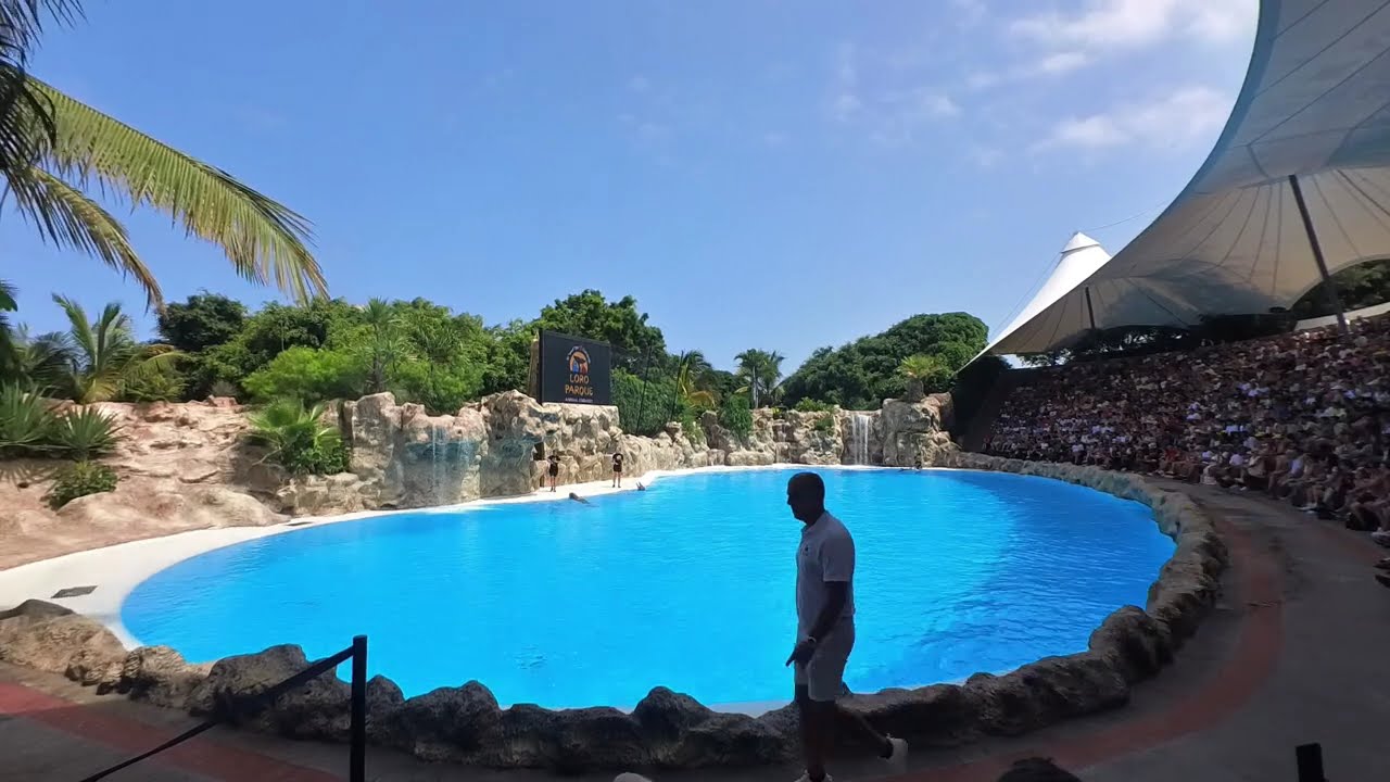 Inside the World's Most Controversial Dolphin Show