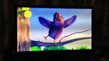 Raspberry Pi playing 1080p video Big Buck Bunny