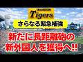 【阪神】緊急補強！パワーヒッターの新外国人野手を獲得へ