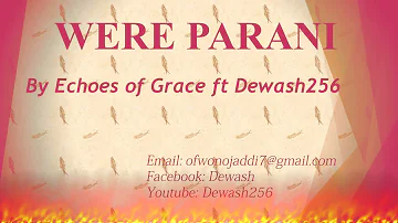 Were Paran - Echoes of Grace ft Dewash256