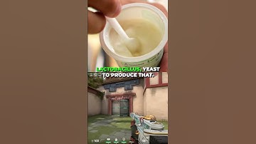 Here’s the Importance of Microbes in Food Production and Consumption #shorts