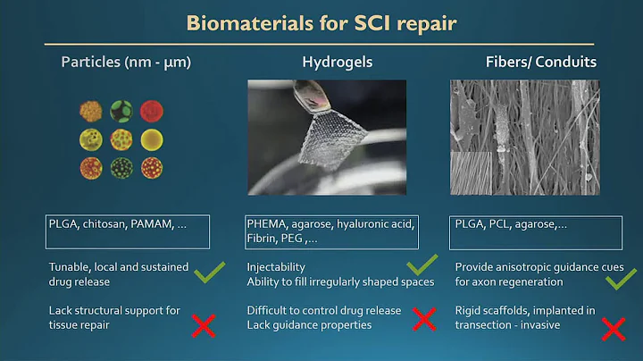 Developing Anti-Inflammatory Nanomaterials for Targeted Treatment of Spinal Cord Injuries