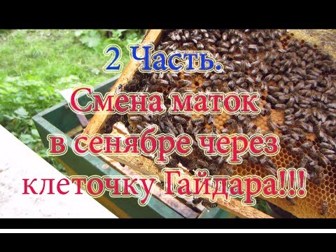 2 Часть ПОДСАДКА