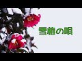 村上幸子 雪椿の唄 カラオケ歌唱:Yasuyuki