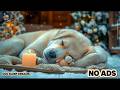 12 HOURS of Cozy Dog Music For Dogs🎵💖Anti Separation Anxiety Relief Music🐶Sleep Dog Healing🎵