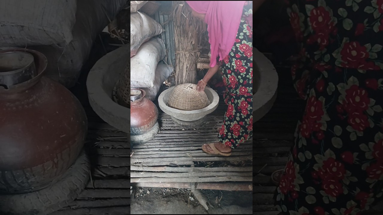 Woman keeps the hen & the chicks very safe 