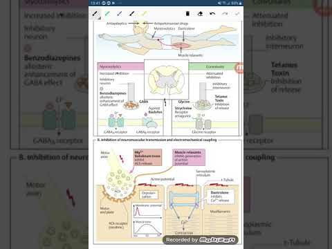 Video Thuốc giãn cơ: cơ chế - youtube