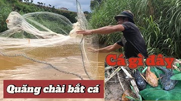 Ôry vlog đi quăng chài bắt cá suối cùng anh em #ôryvlog