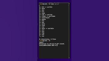 What’s Inside the Linux bin Folder?