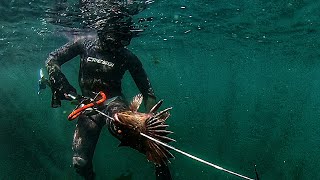 The Wall is Alive | Sunshine Coast & Vancouver Island, BC | Spearfishing & Freediving