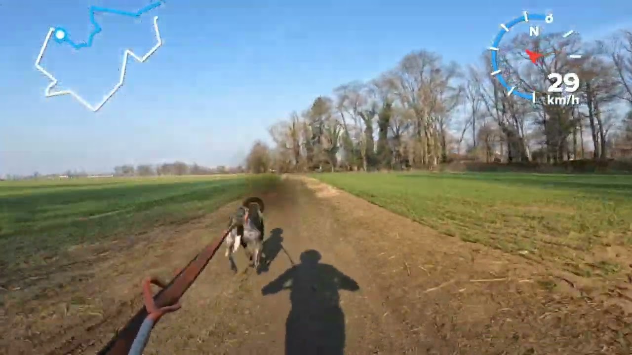 Campionato Nazionale Canicross 2026 - scooterjoring - Grace