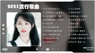 2023 6月最佳内地流行音乐 2023不能不聽的100首歌  不过人间,大壯【我們不一樣】,可可托海的牧羊人,小阿枫 愛江山更愛美人,張津滌&陳瑞 千年孤影