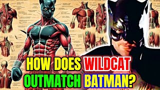 Wildcat Anatomy Explored   Why Batman Chose To Learn Martial Arts From Him? Can Wildcat Defeat Him?