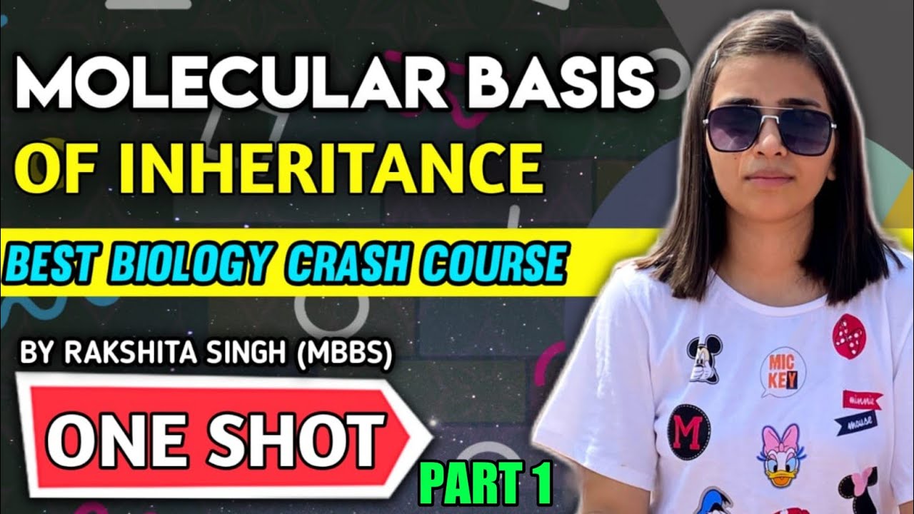 Molecular Basis Of Inheritance In One Shot | One Shot | NEET Crash ...