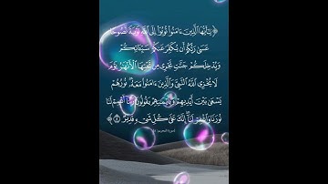 سورة التحريم الآية ( 8 )
