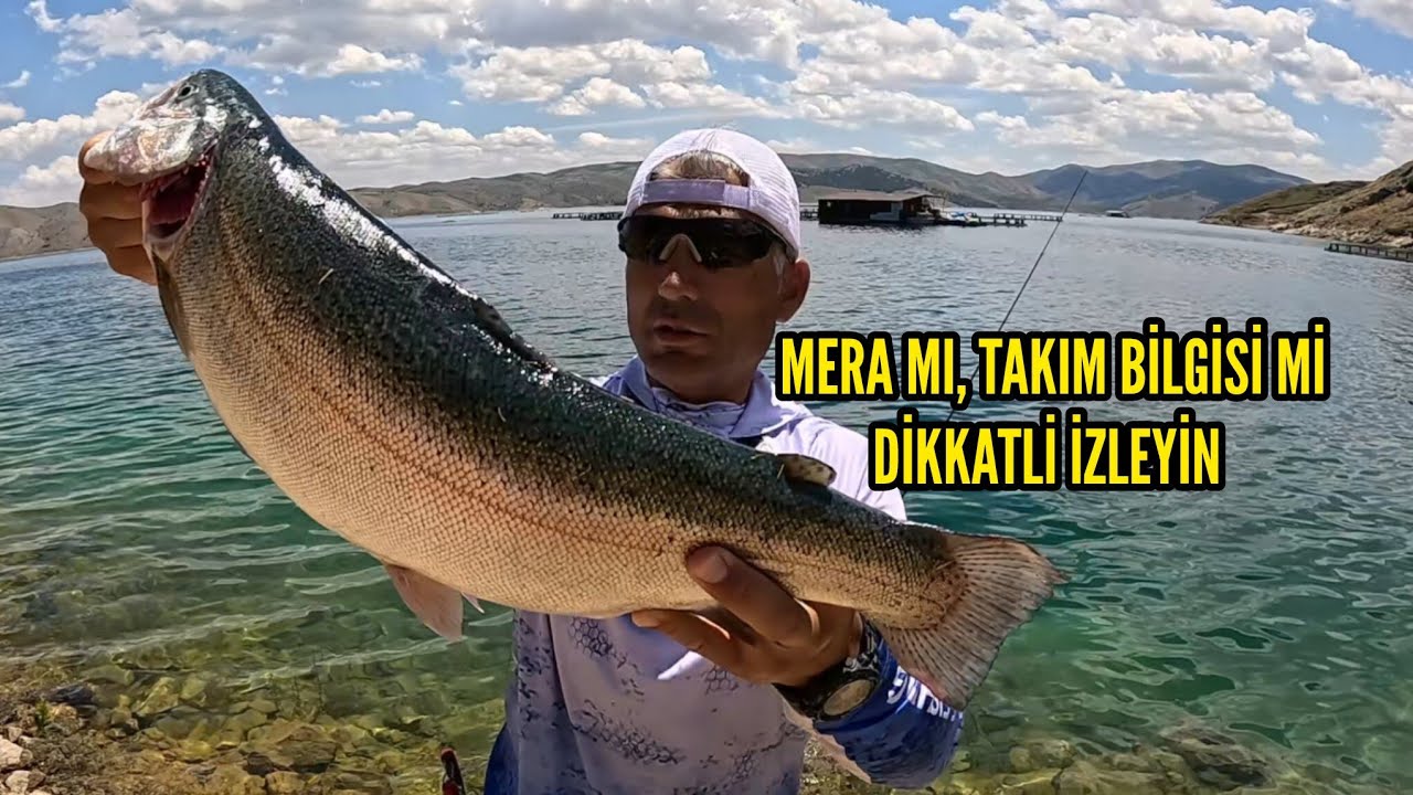 Как поймать форель на тесто