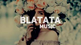 FILV x PANE - SUNFLOWER