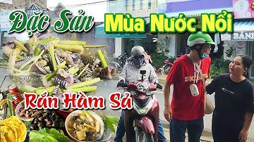 Đặc Sản Mùa Nước Nổi Đãi Khách Phương Xa " Lai Rai " Món Rắn Hầm Sả | Thùy Trang Cô Gái Đồng Tháp
