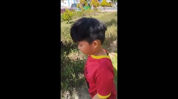 chó phú quốc săn chuột cống... tập 3