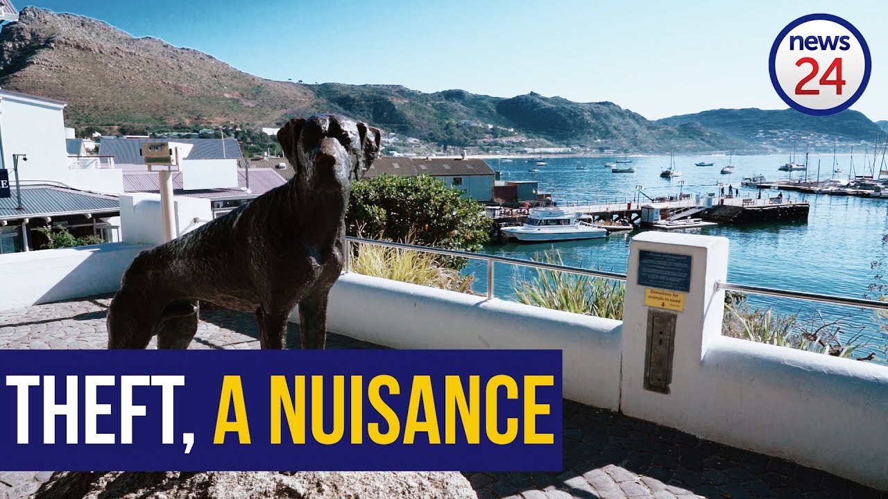 WATCH Thieves steal beloved Just Nuisance statue’s collar and cap YouTube