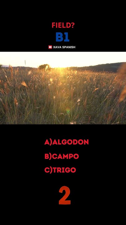 What Does Field Mean In Spanish YouTube what-does-field-mean-in-spanish-youtube