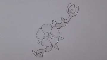 Como desenhar uma árvore de cerejeira passo a passo?
