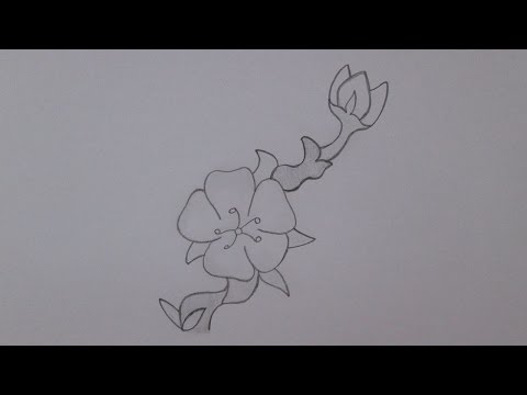 Vídeo: Como Desenhar Uma Flor De Sakura