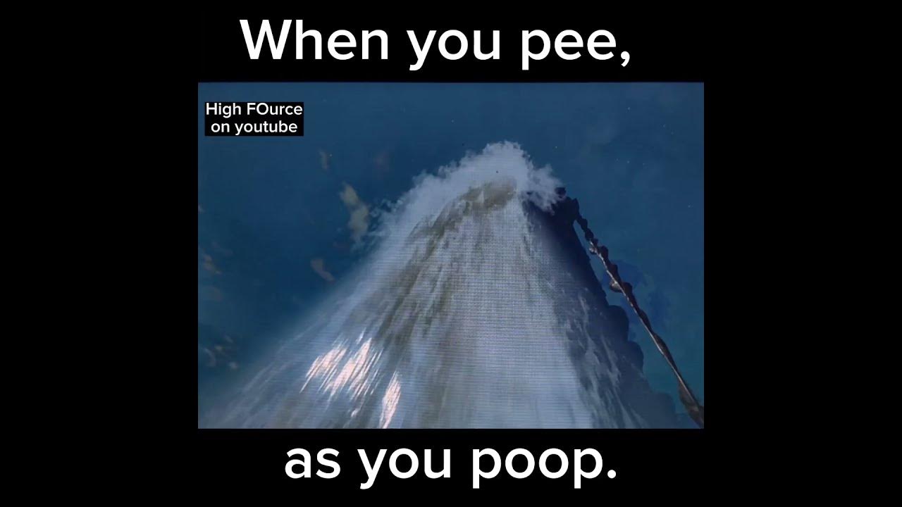 When you pee, as you poop (TOTK) YouTube