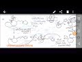 Cyclo addition with allylic cationchemmastersonline