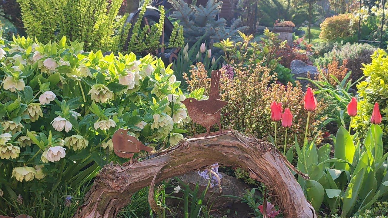 Початок квітня у саду🌸Весняні роботи.Медуниця, луізіанія,цибулькові.Водойма на весні.Декор саду 🐦‍⬛