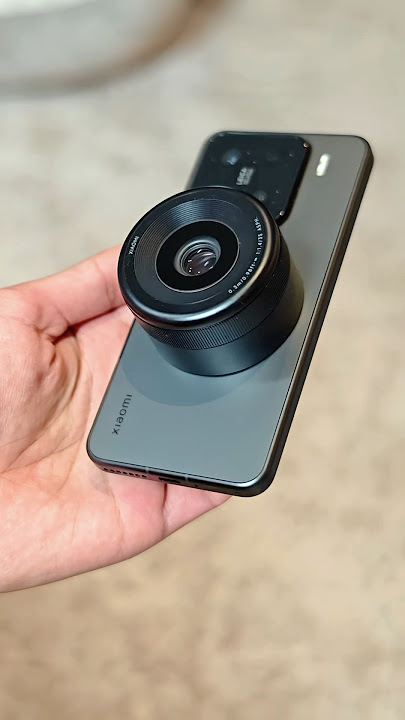 The Best Phone Camera in the World
