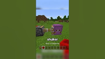 Shulker Chest!