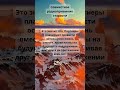 Совместное радиоприемник старости #шортс