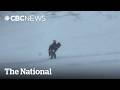 Snowstorm traps 300 drivers overnight on Alberta highway
